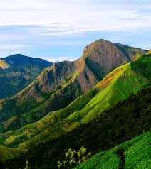 top station mountains in munnar