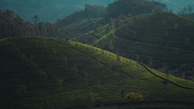 Ecotourism destinations in India for a green getaway