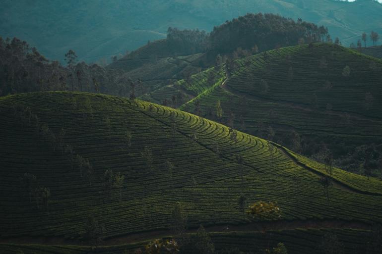 Ecotourism destinations in India for a green getaway