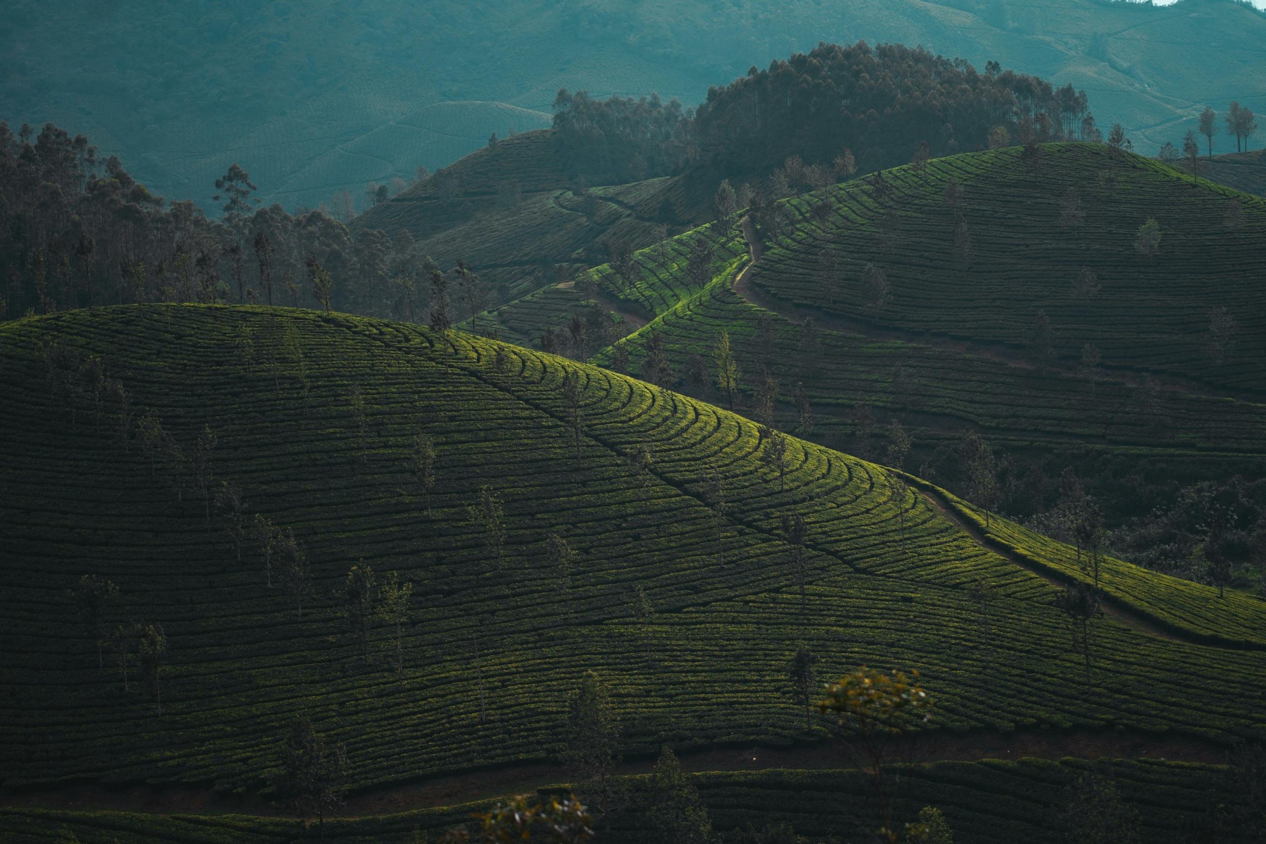 Ecotourism destinations in India for a green getaway