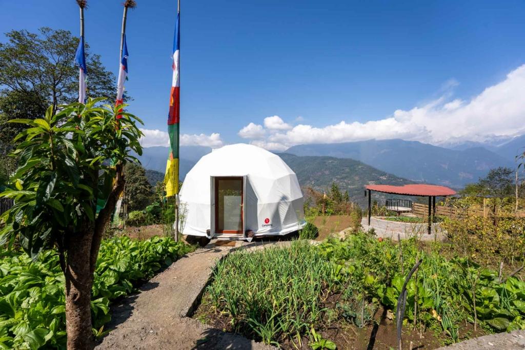 homestays in sikkim in december