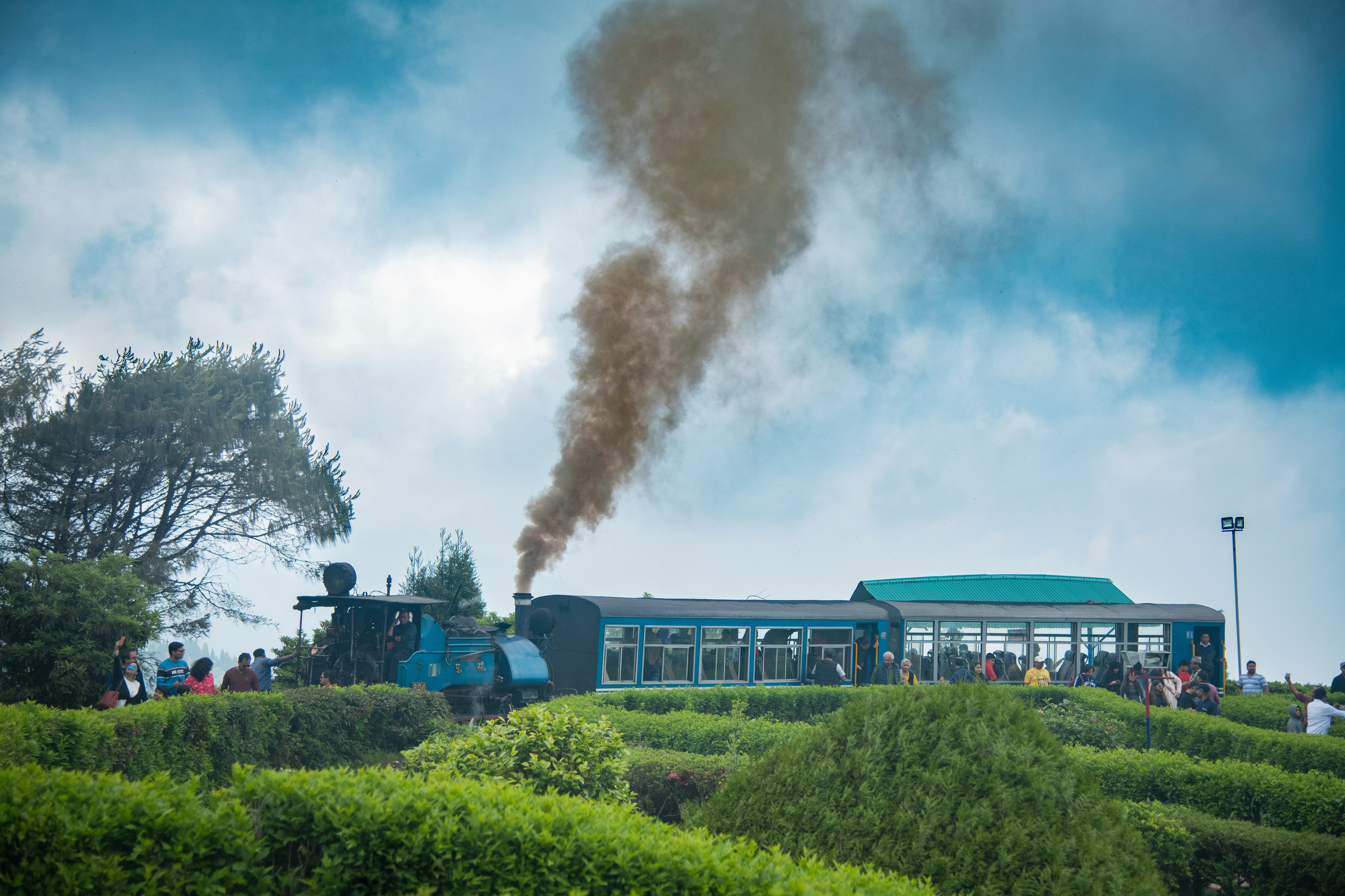 toy train in darjeeling