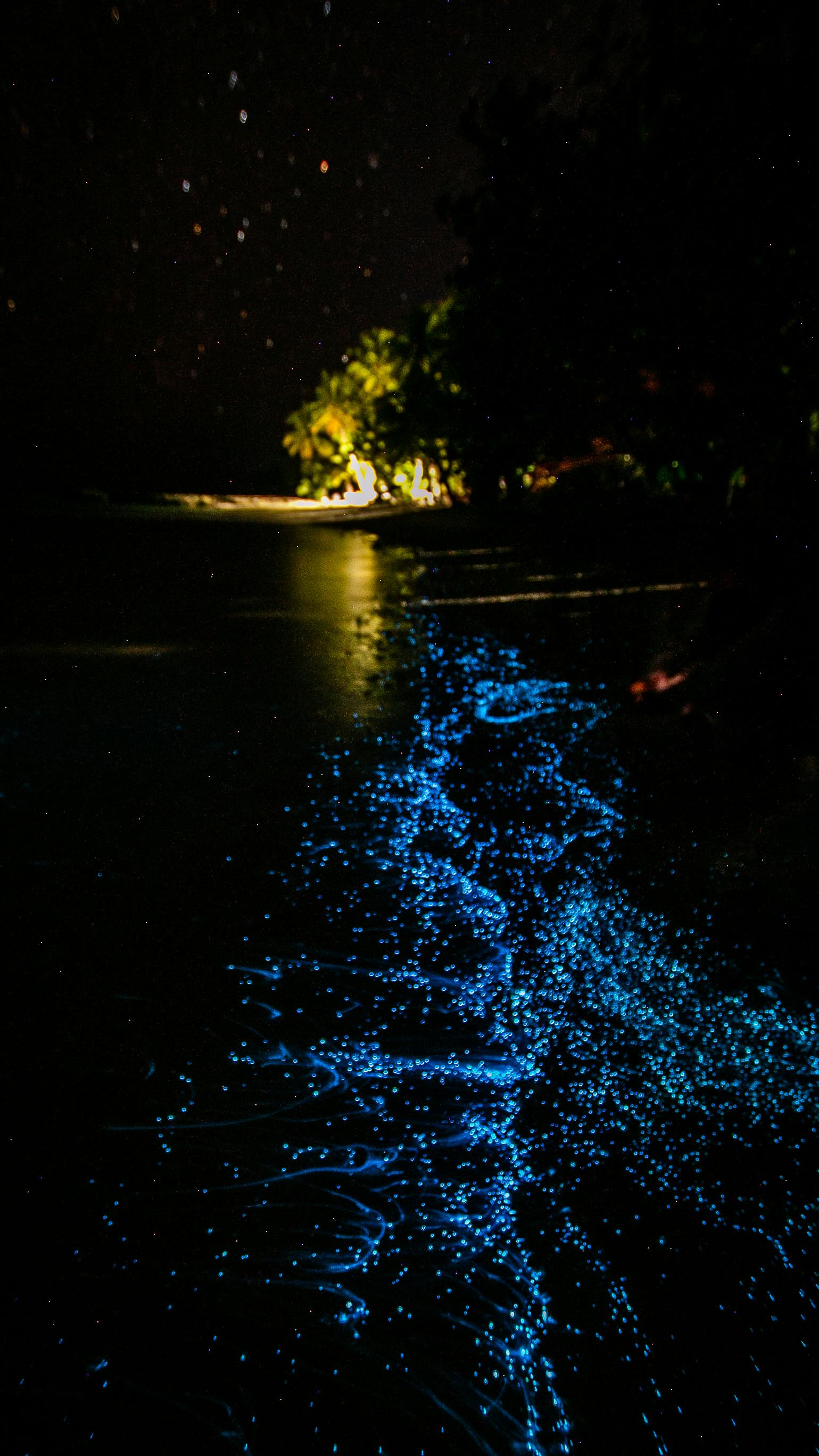 glowing beach in goa