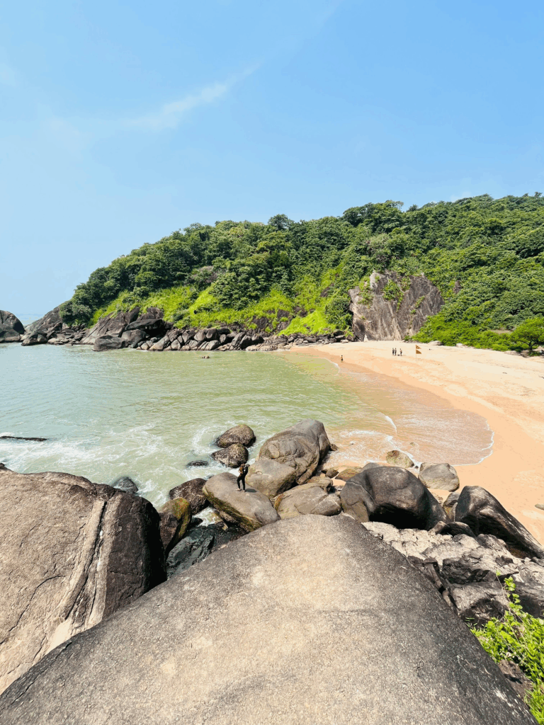 butterfly beach in goa