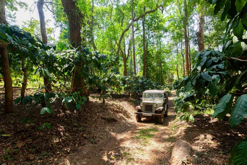 coorg in january for minimoon destinations