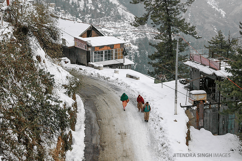 shimla in snow