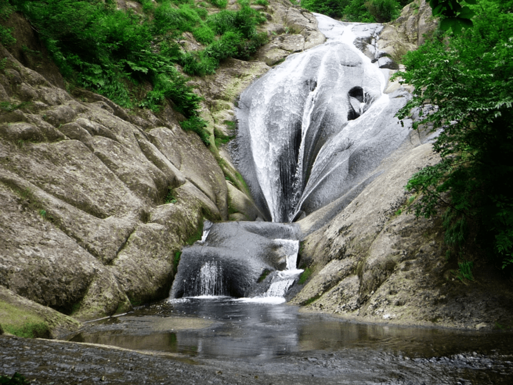 Goa trekking route to Todo Waterfall in North Goa through dense jungle terrain
