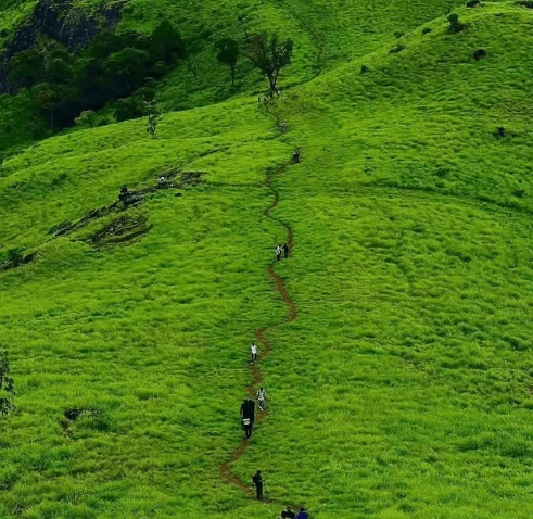 Goa trekking near Valpoi with elevated forest views from Udaan Dongor trail