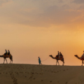travel guide to Jaisalmer in February and March