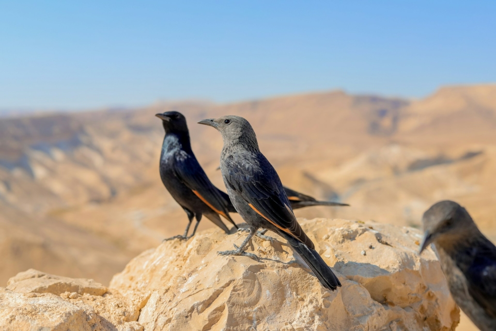 image credit: aes via unsplash