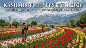 Kashmir Tulip Festival 2026