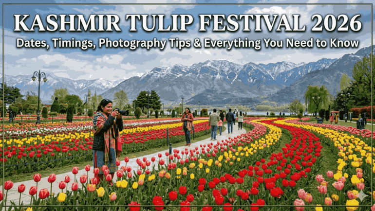 Kashmir Tulip Festival 2026