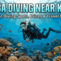 Scuba diving in Kochi