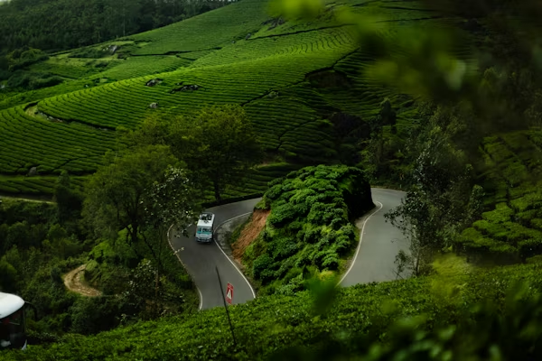 Wayanad the best place to visit in March with Family