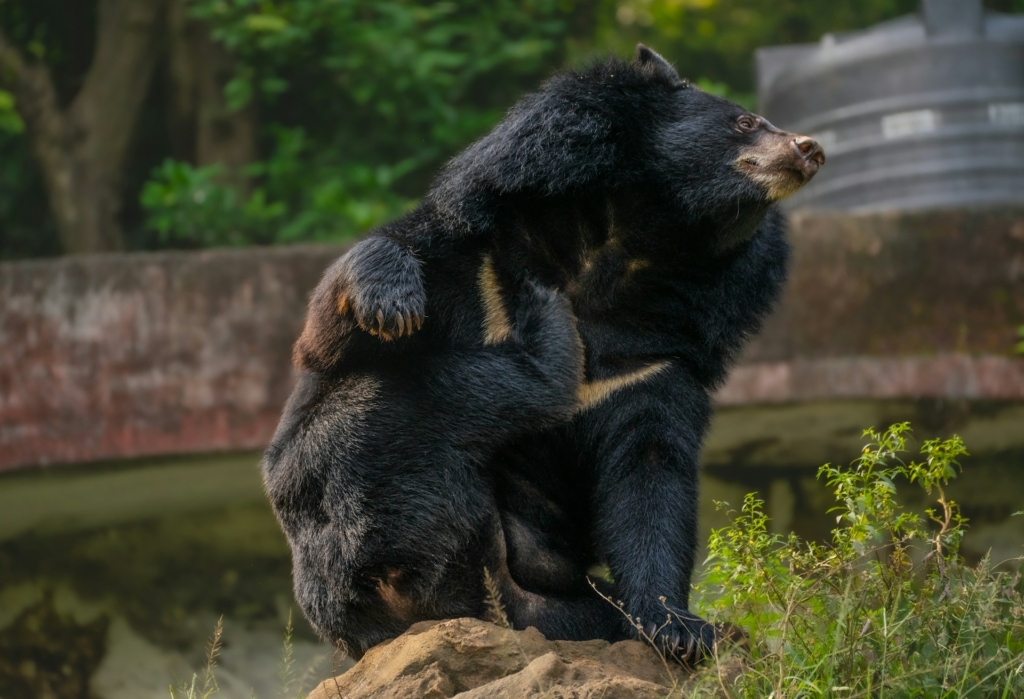 Image credit: Ojas Raj via unsplash