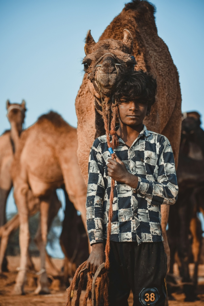 Image credit: Vardan Sharma via unsplash