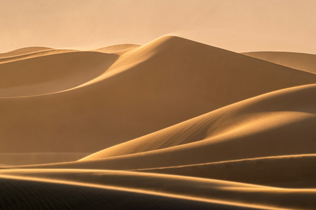 Image credit: Zetong Li via unsplash
osian jodhpur desert safari, camel ride jodhpur, village life in rajasthan, sand dunes khimsar