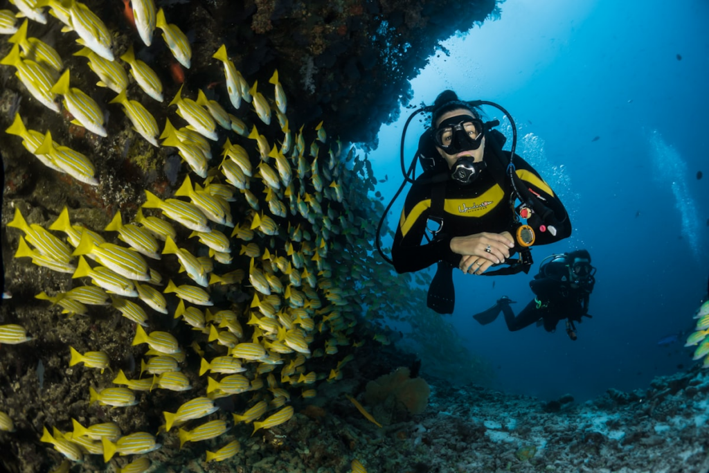 scuba diving in goa vs andaman