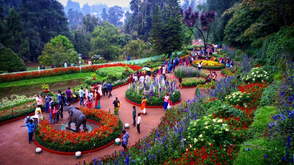ooty botanical garden in may