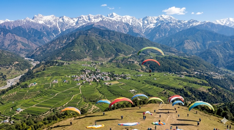Paragliders launching from Billing with the Dhauladhar range and Bir's tea estates visible below.