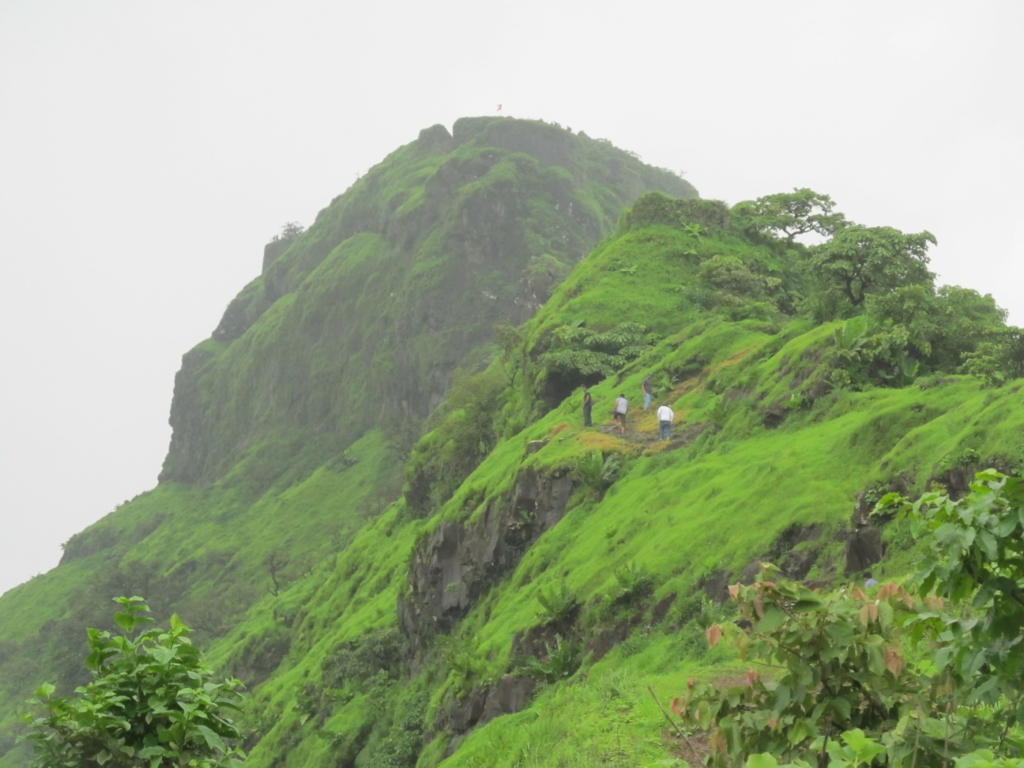 easy treks for beginners near mumbai pune in monsoon