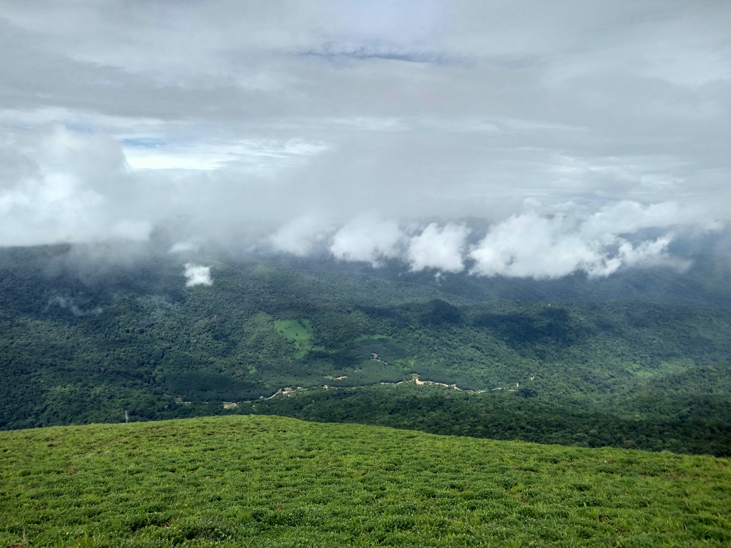 Misty Coorg hillside wrapped in low clouds, May 2026