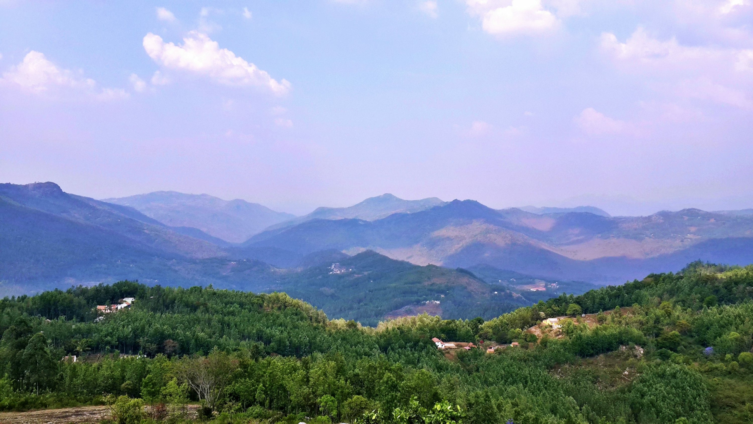 Forested Shevaroy hill ranges near Yercaud at dawn in May 2026