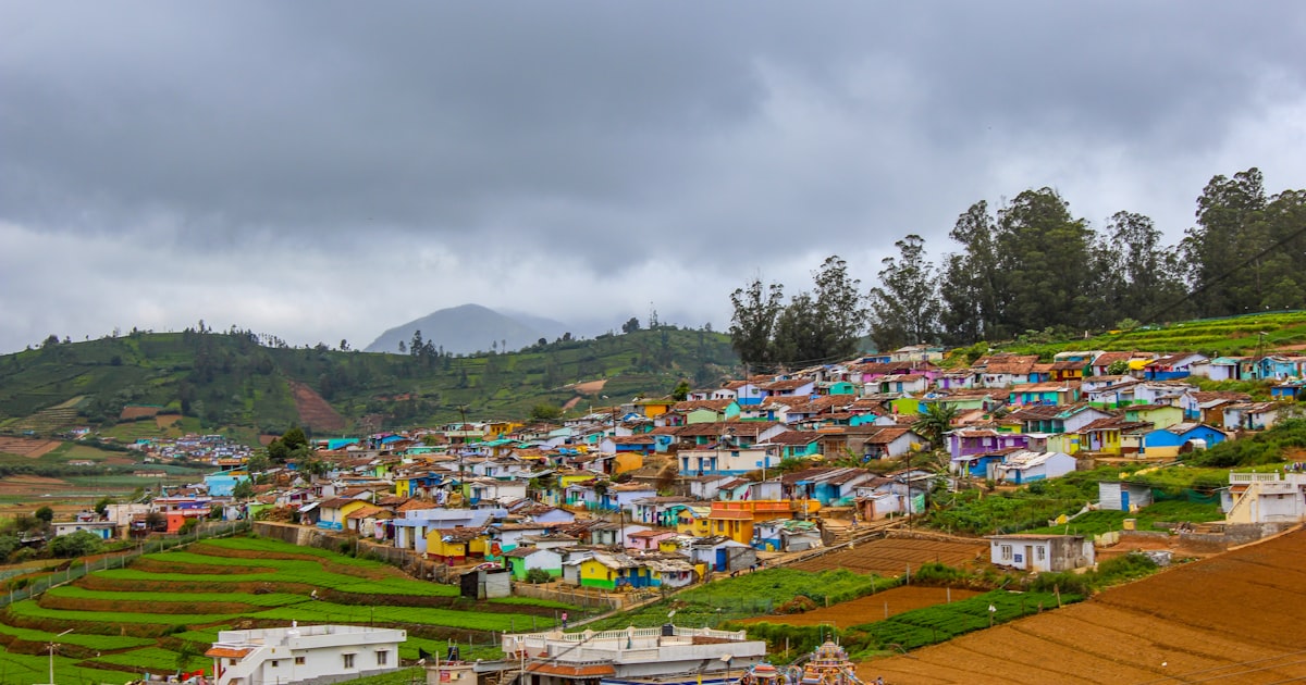 Lush tea plantations rolling across the Nilgiri hills outside Ooty — the drive in from Coimbatore and Mettupalayam.