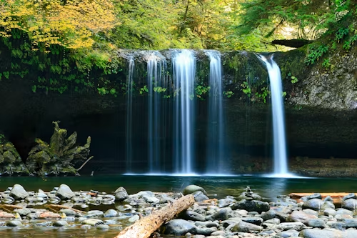 Jeffrey Workman
via unsplash