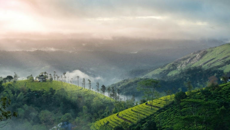 Bangalore to Munnar Road Trip