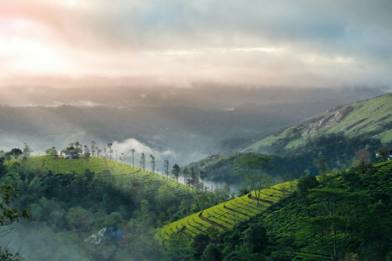 Bangalore to Munnar Road Trip