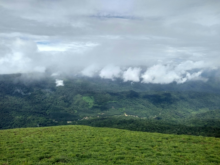 Coorg vs Chikmagalur