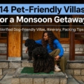 petfriendly villas for monsoon getaways
