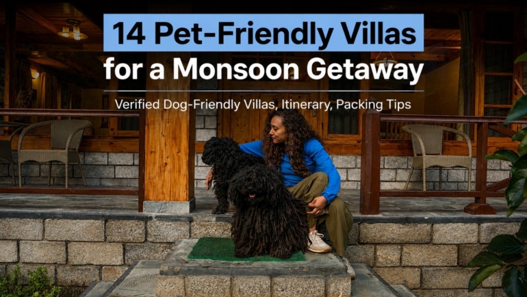 petfriendly villas for monsoon getaways