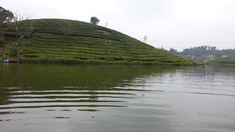 Image credit: shankar s. via flickr
