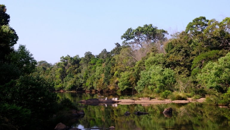 Kuruva Island