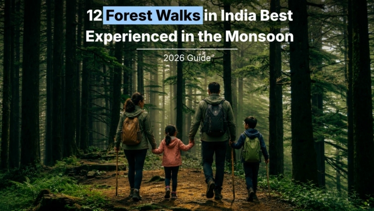 monsoon forest walks in India