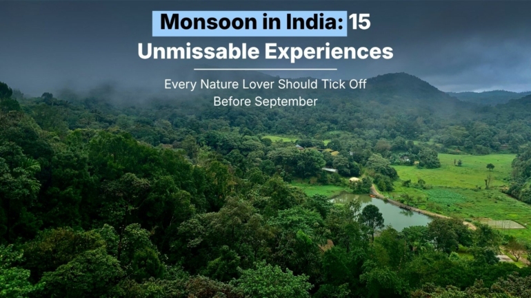 monsoon in India