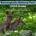 Bannerghatta National Park 2026 guide