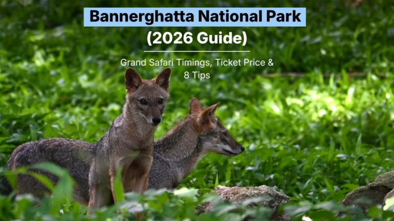 Bannerghatta National Park 2026 guide