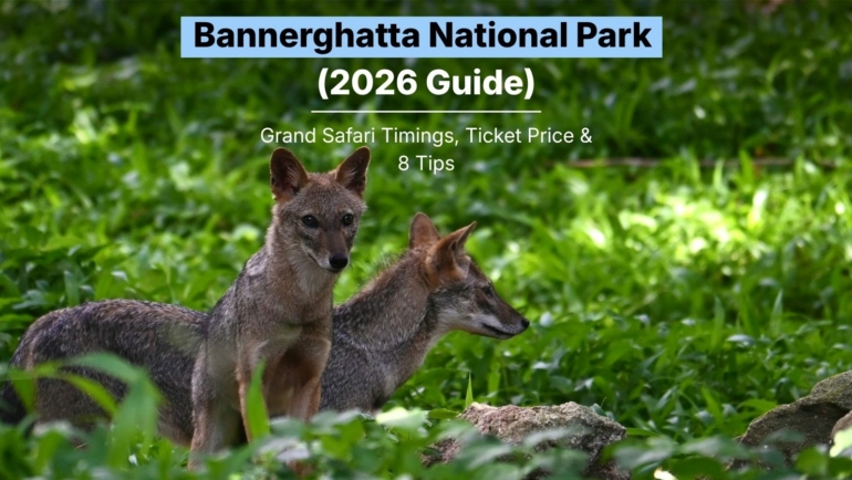 Bannerghatta National Park 2026 guide