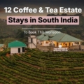 stays in South India