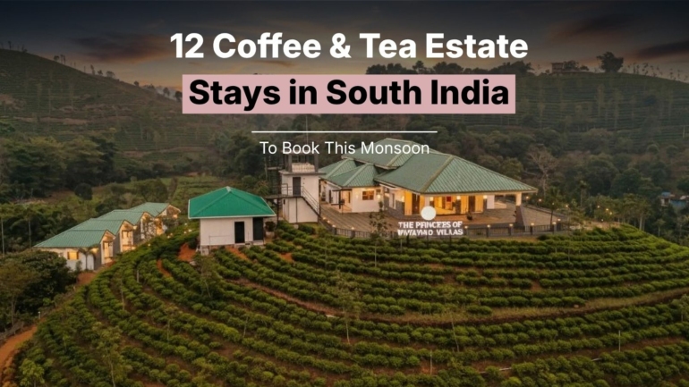 stays in South India