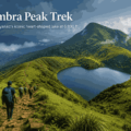 Chembra Peak Trek: Wayanad's Heart-Shaped Lake at 6,890 ft