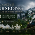 things to do in Kurseong