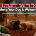 Pet-friendly villas in goa