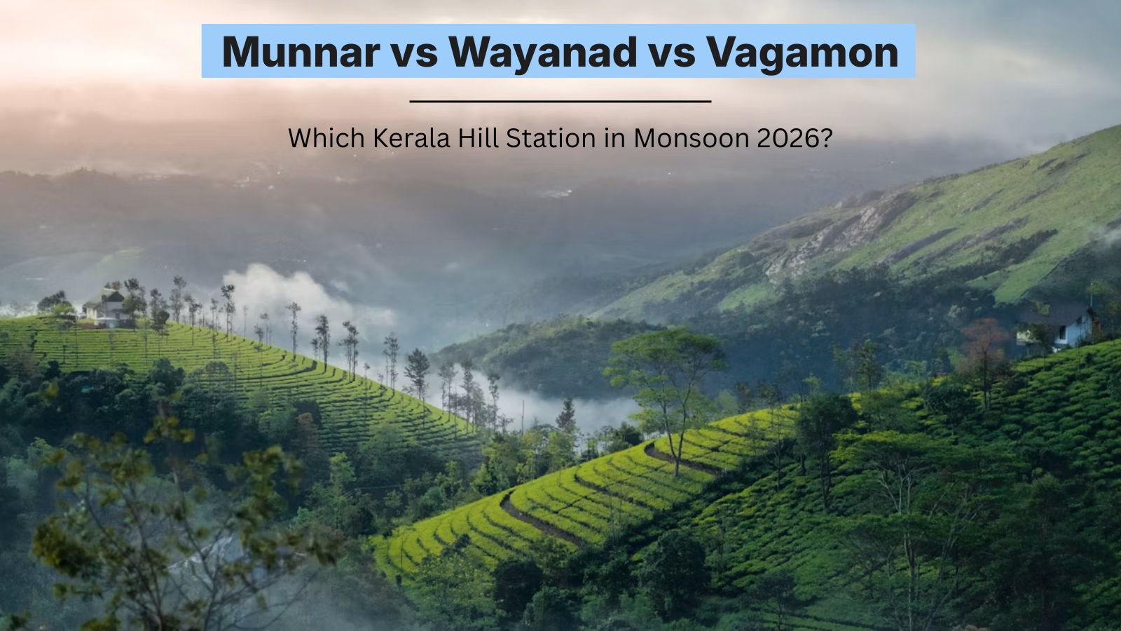 Munnar vs Wayand vs Vagamon