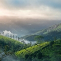 Vagamon in Monsoon