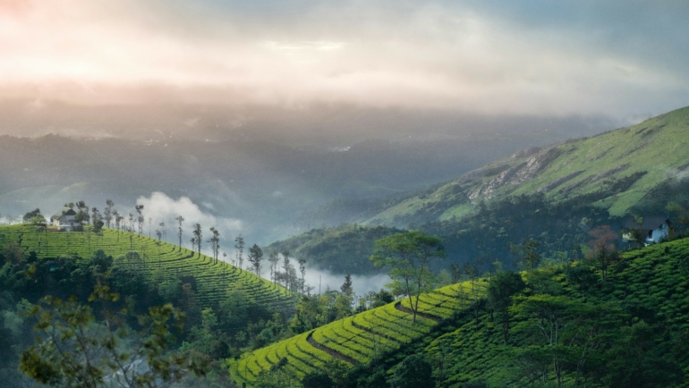 Vagamon in Monsoon
