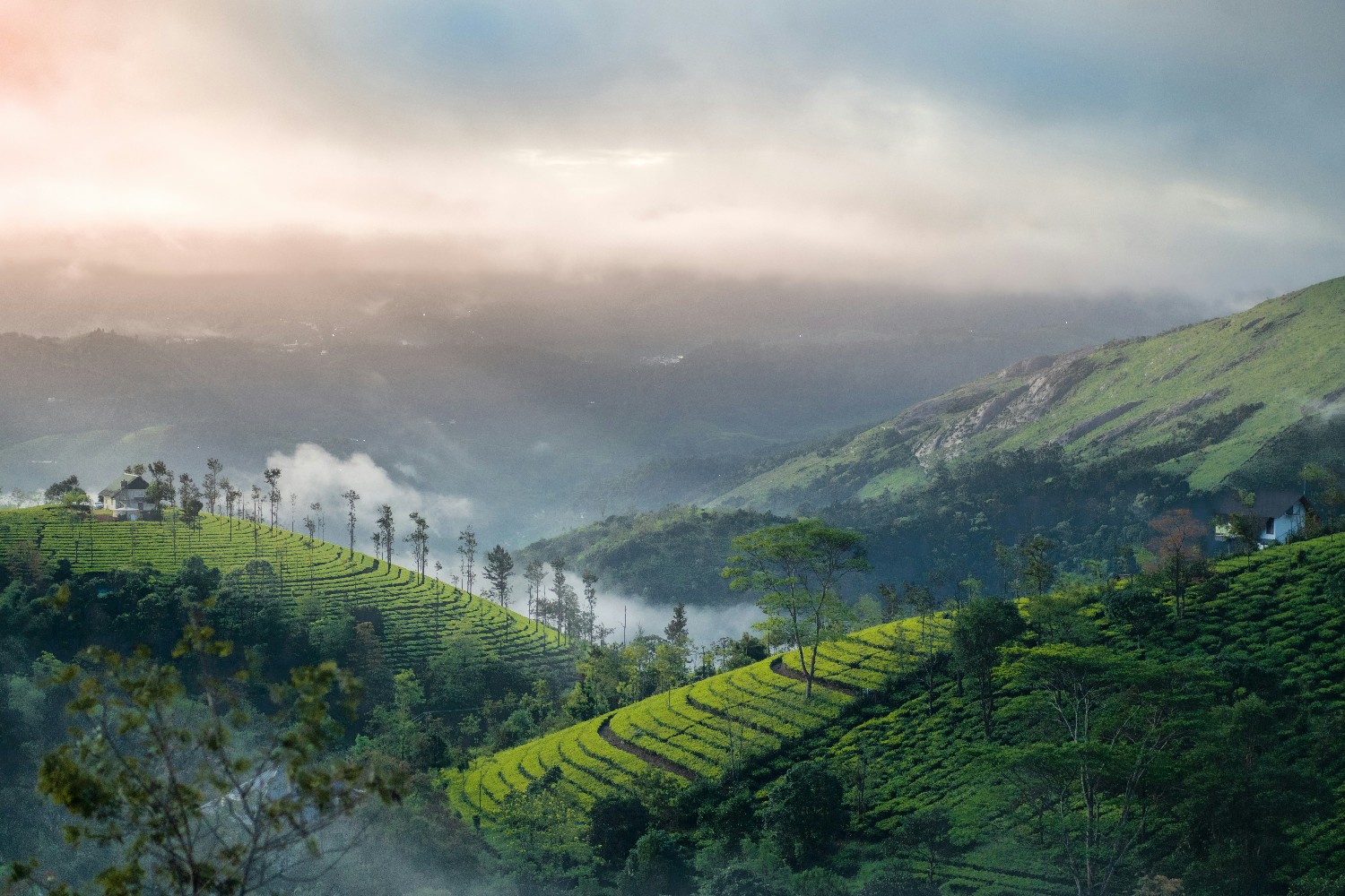 Vagamon in Monsoon